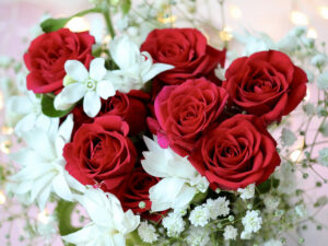 店休日のお知らせ