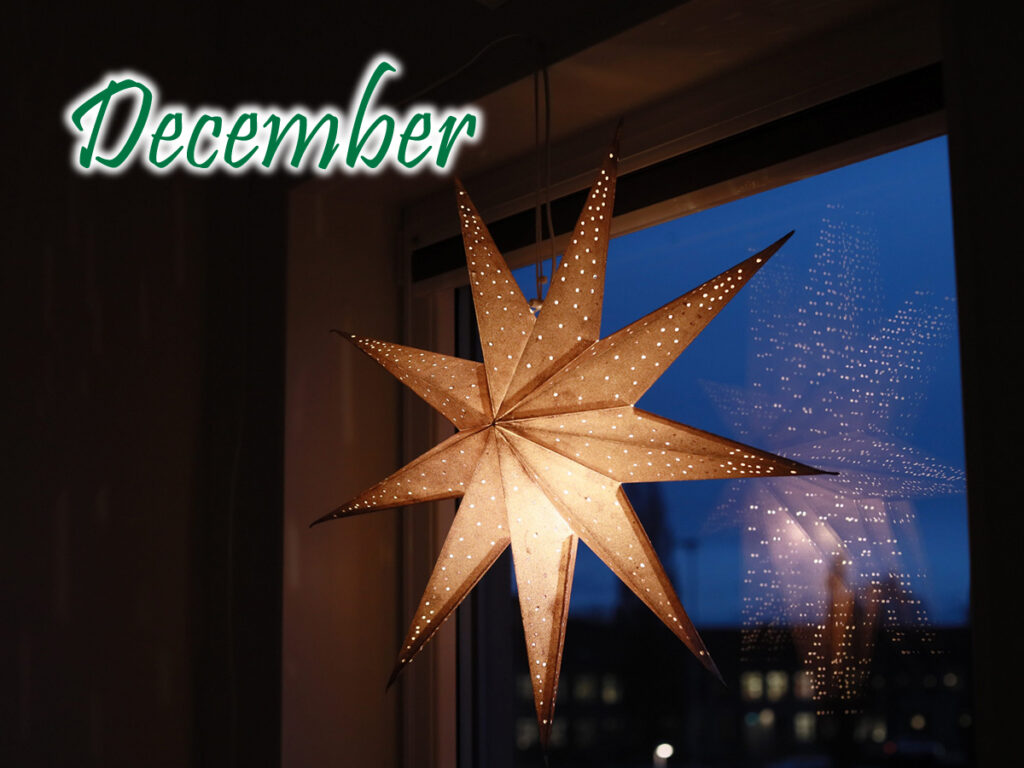 12月のキャンペーン